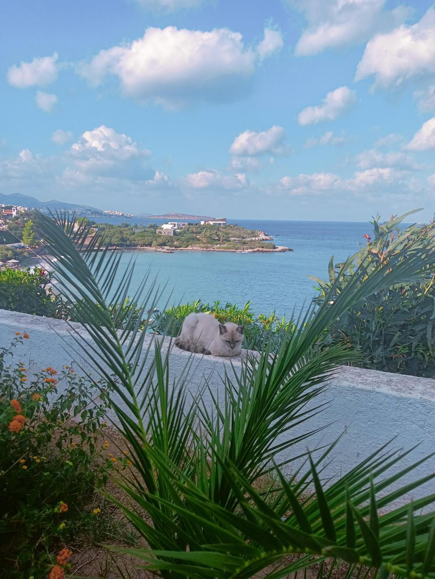 Γεράνι Aparthotel Αμουδάρα Λασιθίου Εξωτερικό φωτογραφία